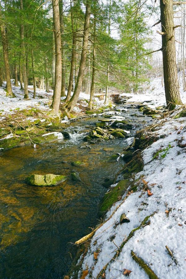 Secluded Streamside Home With Hot Tub Margaretville Dış mekan fotoğraf