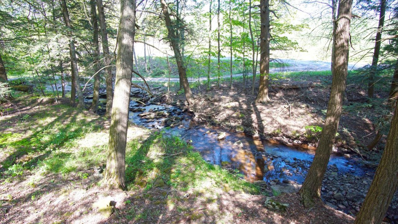 Secluded Streamside Home With Hot Tub Margaretville Dış mekan fotoğraf